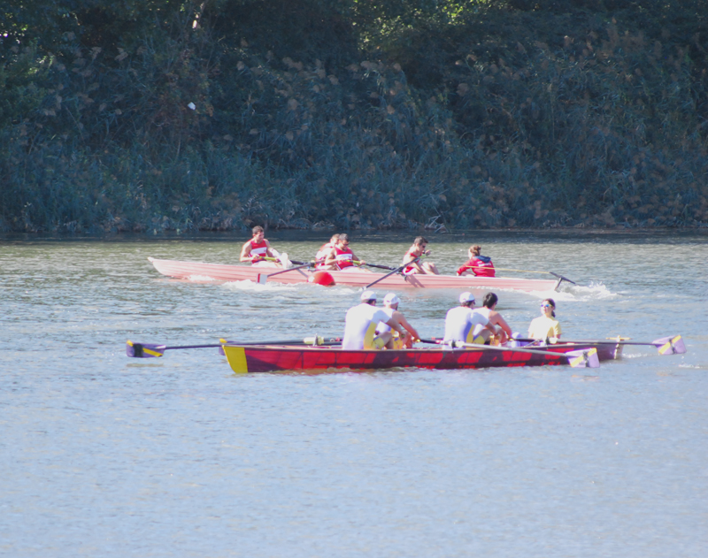 Se celebr&oacute; en Lodosa el Campeonato Navarro de Yolas